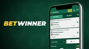 Betwinner Sport Streams Your Guide to Live Sports Betting