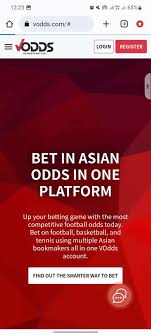 Кінні стрибки Ставки та їхні функції Кінні стрибки Ставки та їхні функції